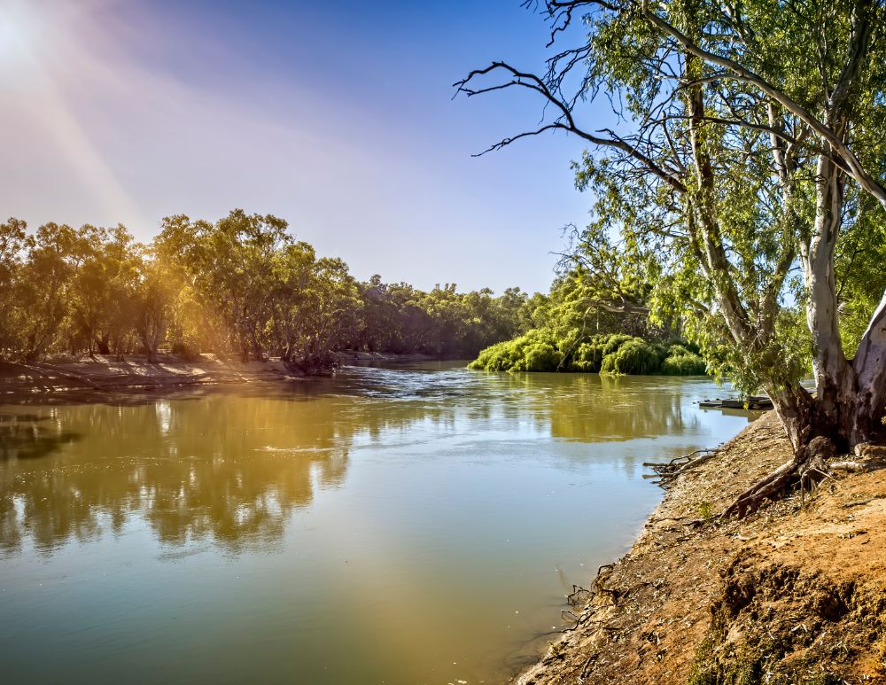 murray river